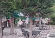 Konyalı Öğretmen, ağaçlara kendi eserlerini astı