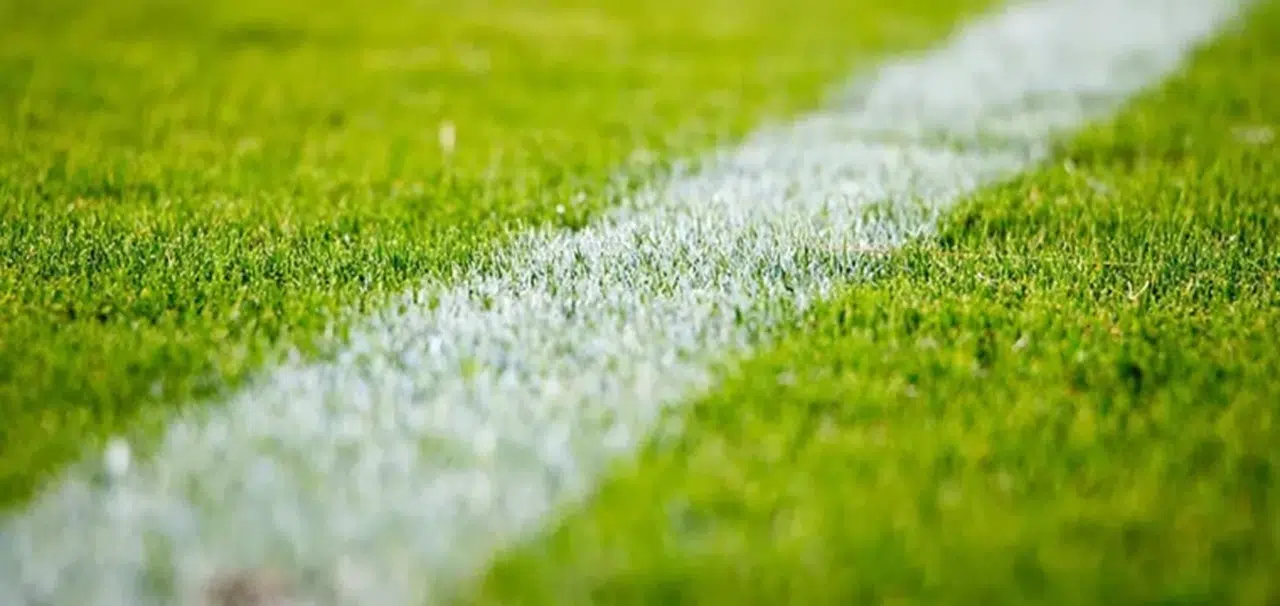 EURO 2024 Elemeleri'nde 6. Hafta Heyecanı Yarın Başlıyor