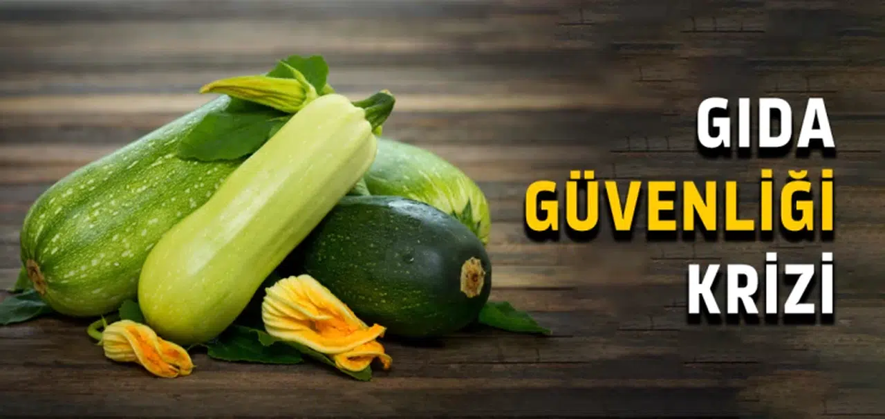 Gıda Güvenliği Krizi!