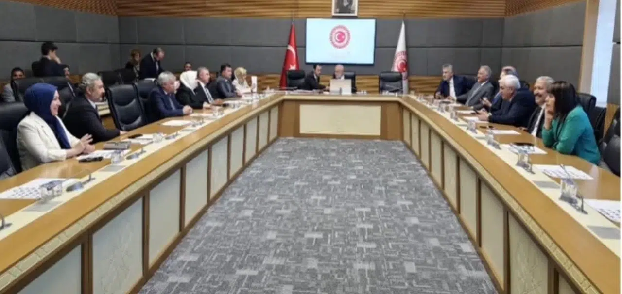 AK Parti Milletvekili Selvi, Mecliste yoğun mesaide!