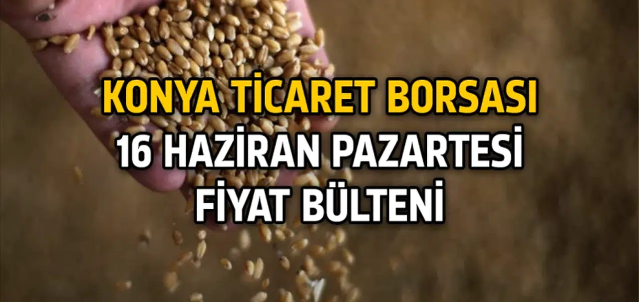 Konya Ticaret Borsası 16 Haziran anlık fiyatlar