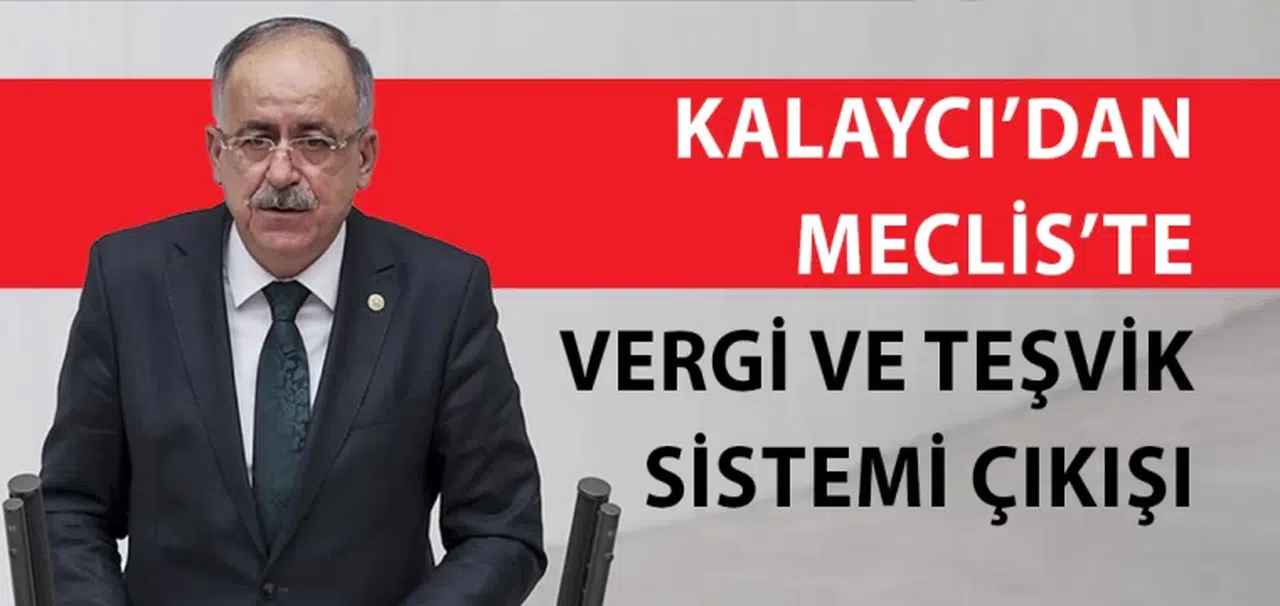 Kalaycı’dan Meclis’te vergi ve teşvik sistemi çıkışı