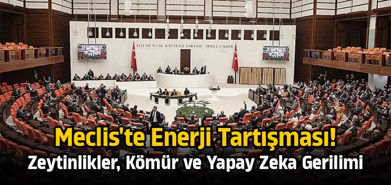 Meclis'te enerji tartışması: Zeytinlikler, kömür ve yapay zekâ gerilimi
