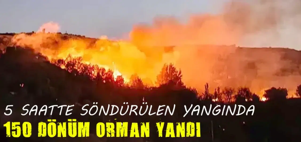 5 saatte söndürülen yangında 150 dönüm orman yandı