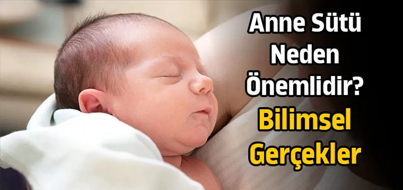 Anne sütü neden önemlidir? Bilimsel gerçekler