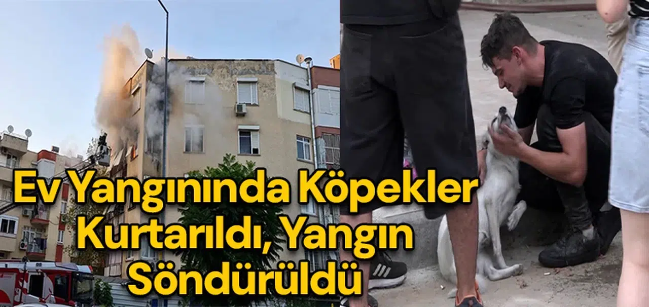 Ev yangınında köpekler kurtarıldı, Yangın söndürüldü