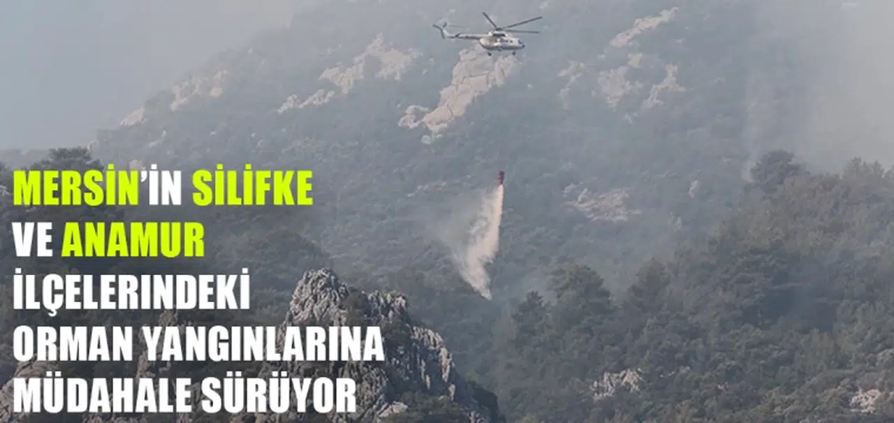 Mersin’in Silifke ve Anamur ilçelerindeki orman yangınlarına müdahale sürüyor