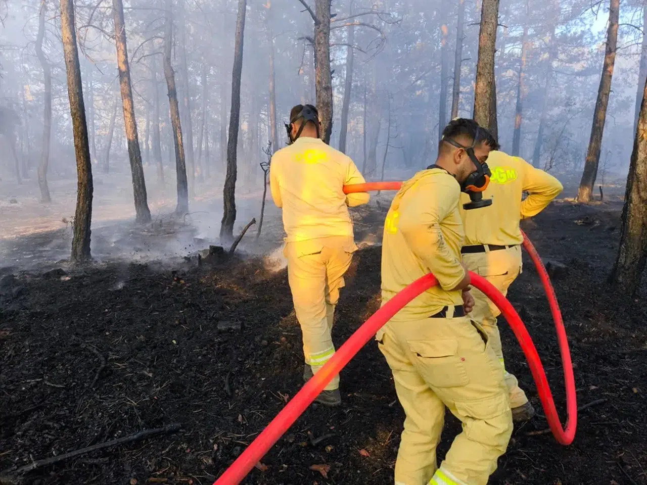 Bolu'da 8,5 saatlik mücadeleyle orman yangını söndürüldü