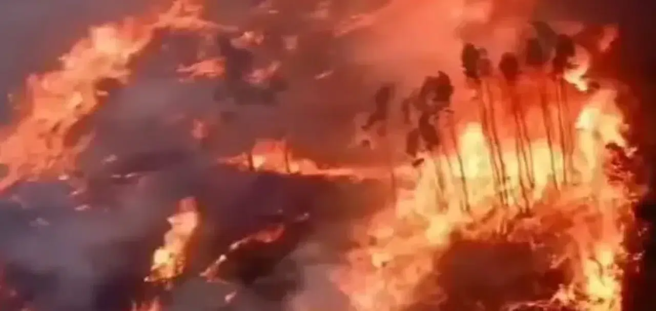 Portekiz'de orman yangınında 1 kişi öldü