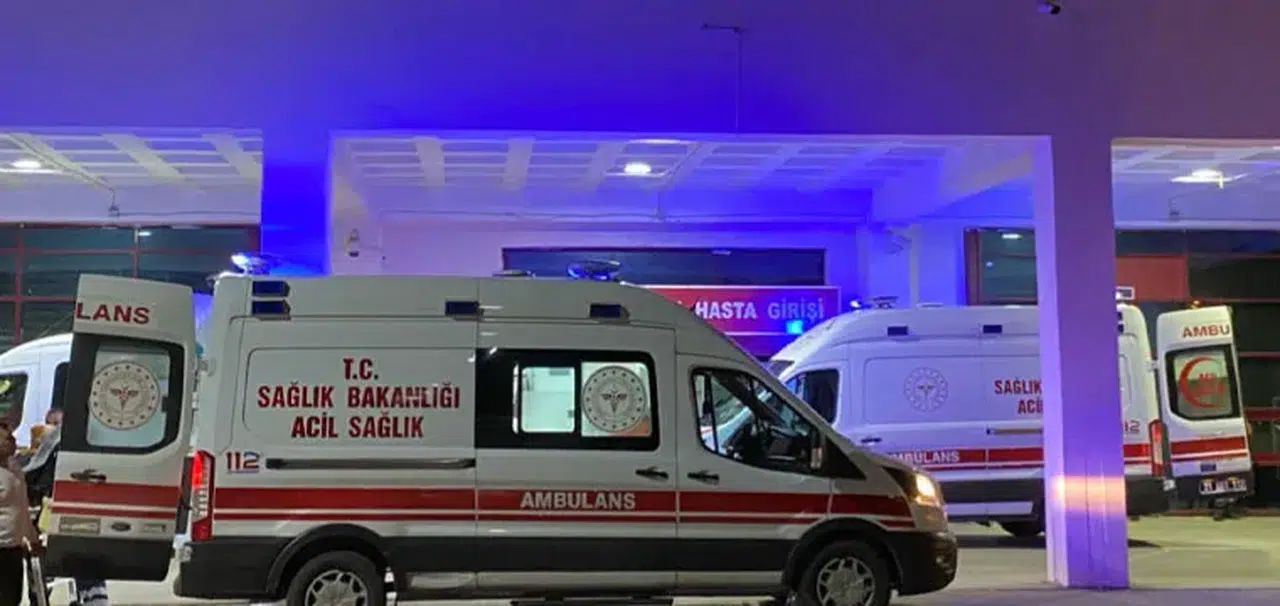 Devrilen hafif ticari araçtaki çift öldü