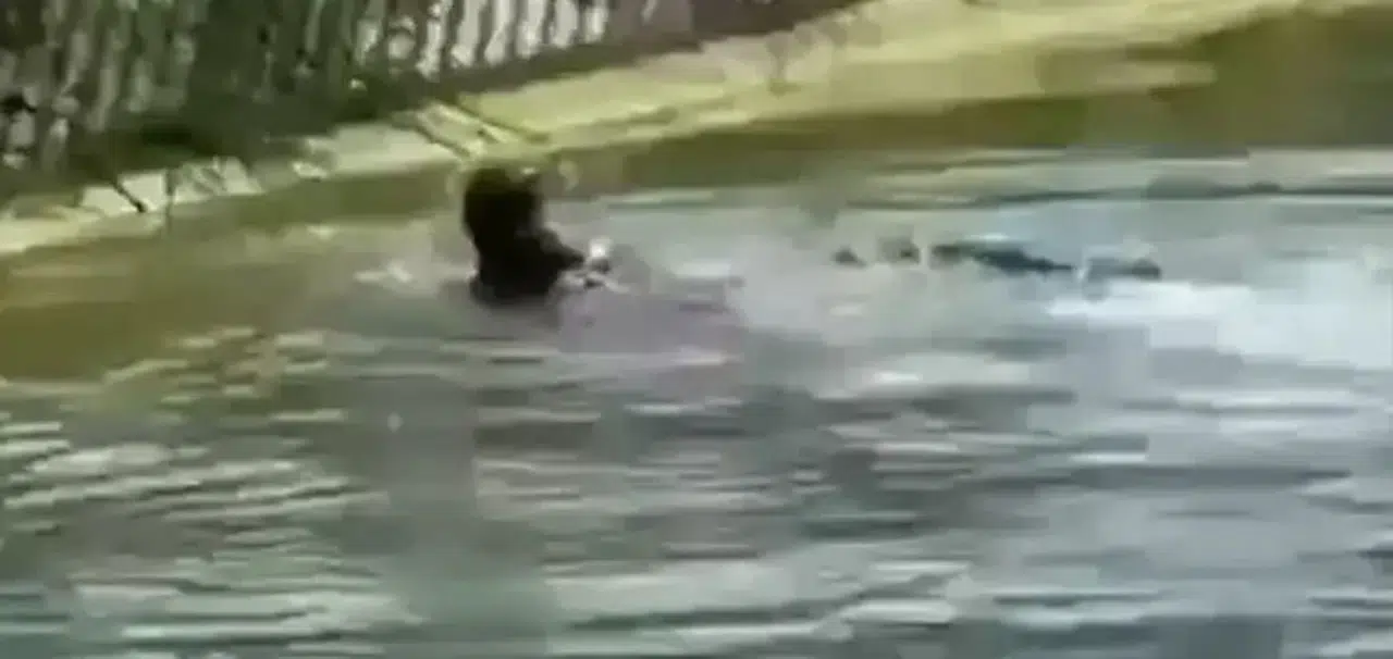 Sulama kanalında erkek cesedi bulundu
