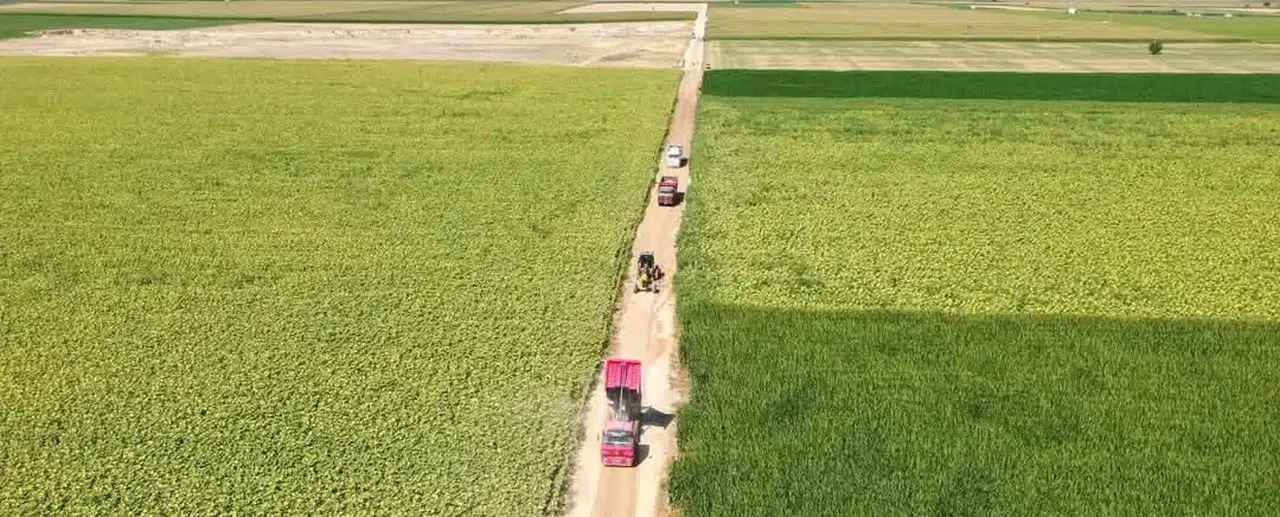 Konya temizlikte çığır açtı!
