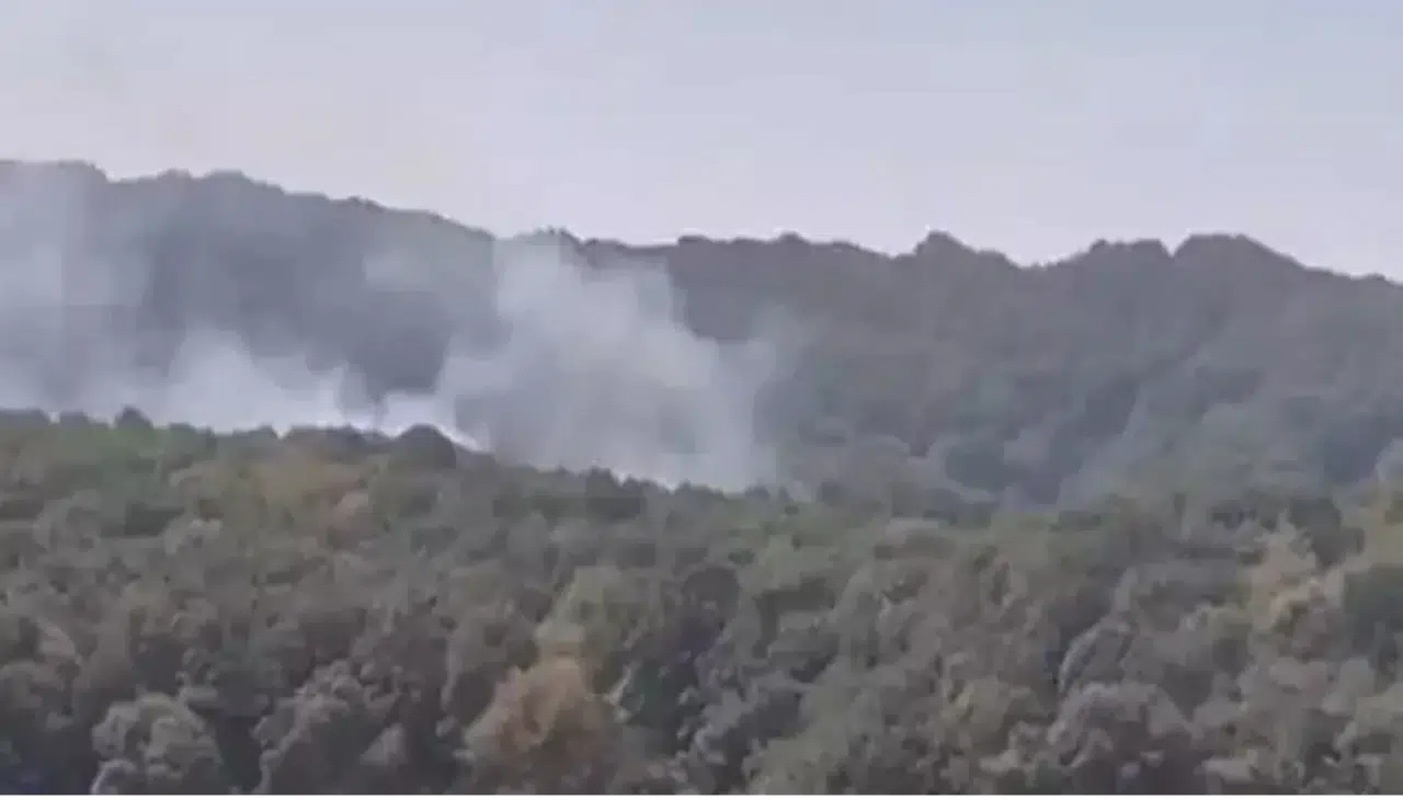 Sarıyer'de orman yangını