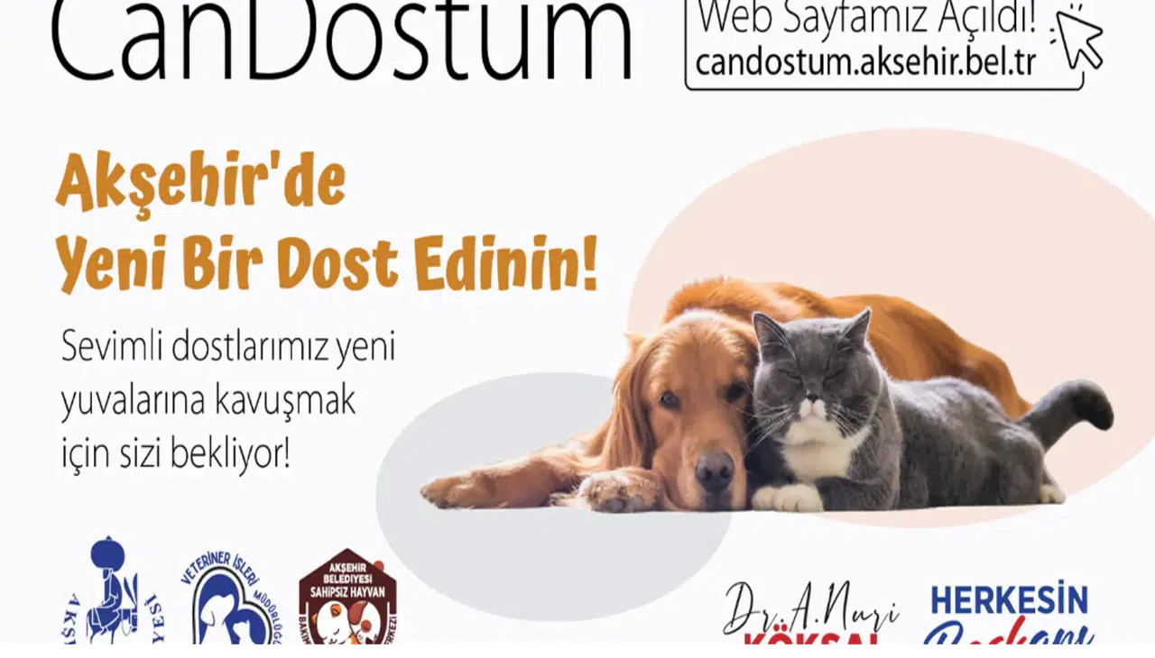 Akşehir Belediyesi’nden “CAN DOSTUM” Sahiplendirme Platformu
