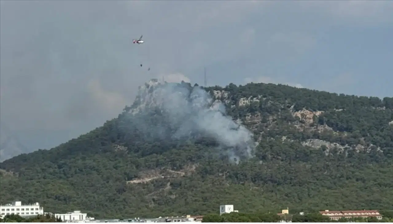 Antalya'da  orman yangını