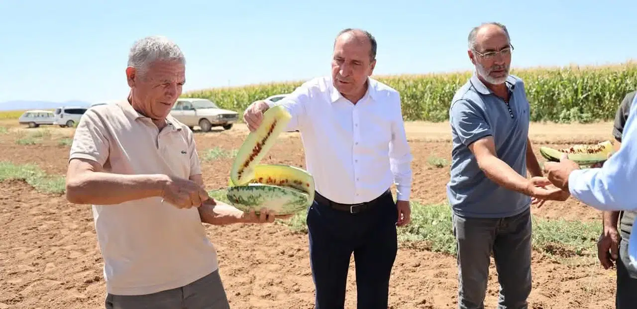 Konya Belediyesi, ata tohumuna sahip çıkıyor