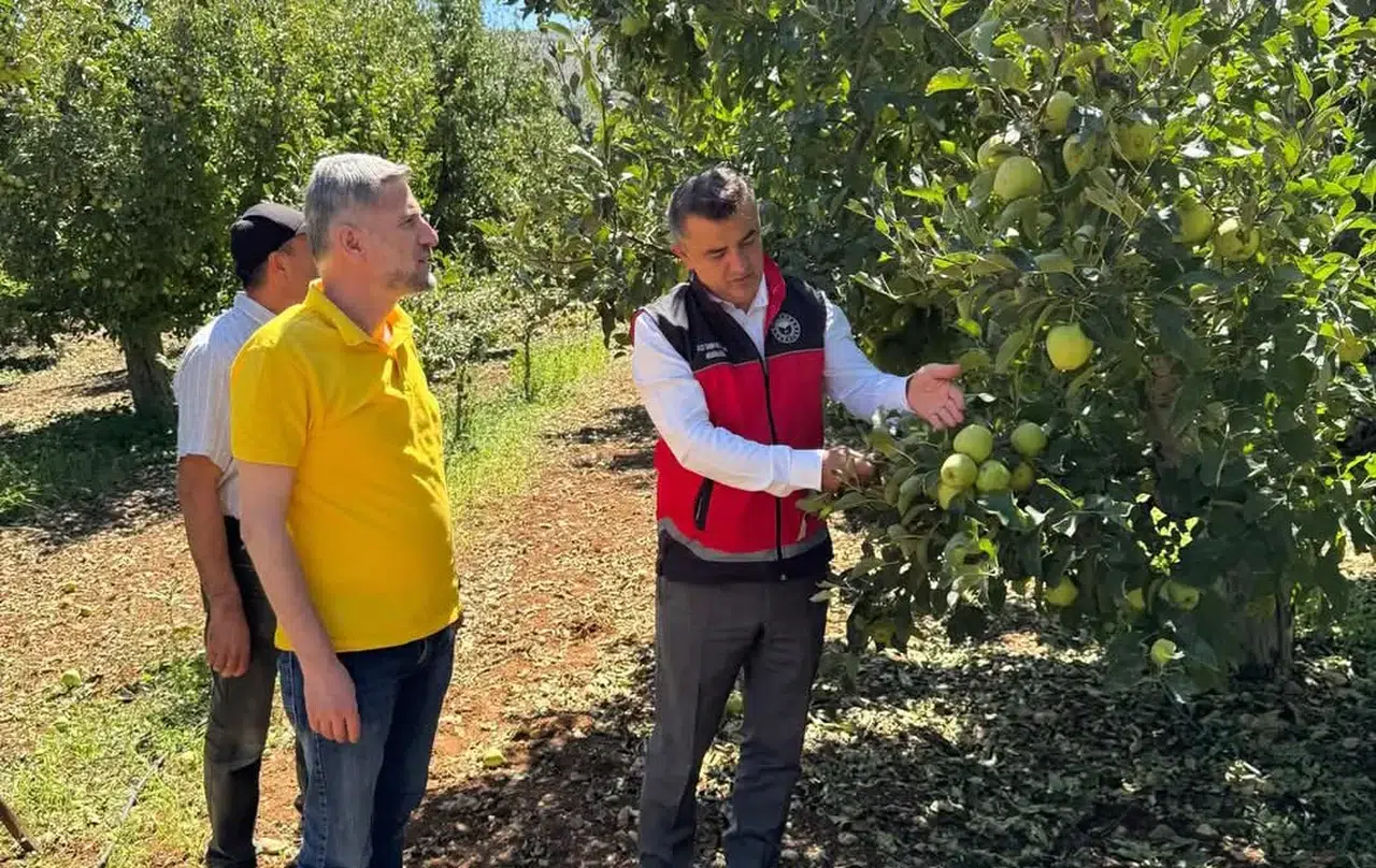 Konyayı dolu vurdu: Müdürlük harekete geçti