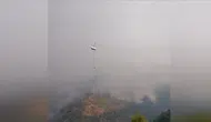 Orman yangınına havadan ve karadan müdehale sürüyor!