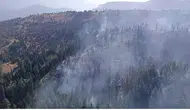 Karaman'daki orman yangını kontrol altında