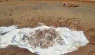 Konya için yeni bir tehlike: Türkiye'de ilk kez görüldü!