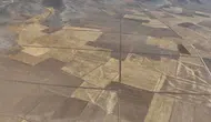 Konya'da 77 bin dekar alan dağıtılacak!