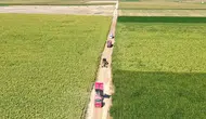 Konya  temizlikte çığır açtı!