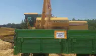 Konya buğdayları verimde yüzleri güldürdü!
