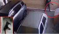 Komşu esnafın köpeğini tabancayla öldürdü