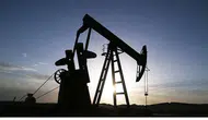 Petrol fiyatlarındaki düşüş devlerin karını yaklaşık 25 milyar dolar eritti
