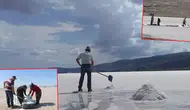 Tuz Gölü'nde geleneksel hasat başladı
