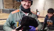 Konyalı veteriner hekim görev başında yaralandı!