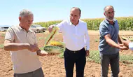 Konya Belediyesi, ata tohumuna sahip çıkıyor