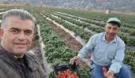 48 milyon çilek fidesiyle Konya şaha kalktı: Çiftçi gelirini artırdı!