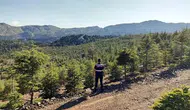Muğla'da ormanlara giriş yasağı