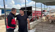 Konya'daki Kurban pazar alanları mercek altında!