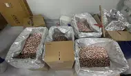 4 milyon sentetik ecza hap ele geçirildi