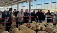 Karapınar’da kurban hareketliliği: Pazar yerinde bayram hazırlığı