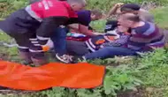 Mantar toplarken ayı saldırısında yaralandı