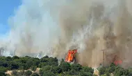 Çanakkale'de ormanda yangın