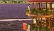 Konya mora bürünecek: Muhteşem etkinlik başlıyor!