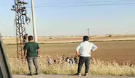 Akıma kapıldığı direkte asılı kaldı