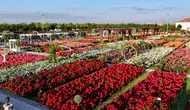 Karatay Mevlana Gül Parkı ziyarete açıldı