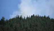 Manisa'da orman yangını çıktı