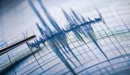 Japonya'da 5,9 büyüklüğünde deprem