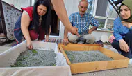 Konyalı üreticilere müjde: Böcek üretimi Konya ekonomisine değer katacak!