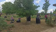 Cihanbeyli’de yeşil seferberlik: Ekipler sahada durmaksızın çalışıyor!