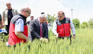 Vali Akın, Akşehir’de yağıştan etkilenen bölgelerde incelemelerde bulundu