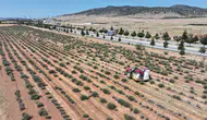 2027 yılı tarımsal destek başvuruları 1 Temmuz’da başlıyor