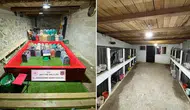 Horoz dövüşü operasyonu
