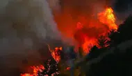 Balıkesir'in Gömeç ilçesinde çıkan orman yangınına ilişkin 2 zanlı tutuklandı